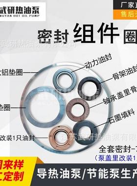 热油泵密封组件WRY125-100-257全套密封7件套改装 常州武研厂家供