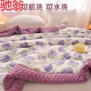 E4C豆豆被加厚单人学生宿舍双人夏被春秋被冬被可机洗水洗被子空