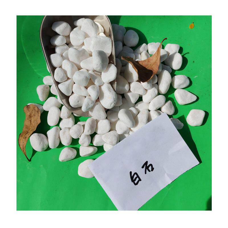 天然白彩精筛景观石｜庭院盆栽铺面专用 吨装直供精选卵石