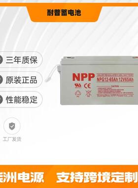 NPP耐普蓄电池NPG65-12 太阳能 12v65AH 直流屏 蓄电池