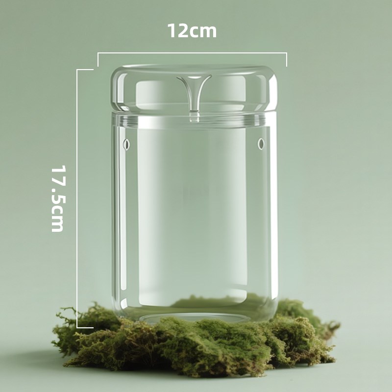 微景观瓶露集杯办公室桌面创意哦生F态瓶迷你斗鱼缸透明采光苔藓