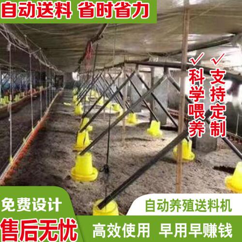 养鸡场分叉料线鸡舍鸭棚投料机鹅用简易料线养殖场专用自动喂料机