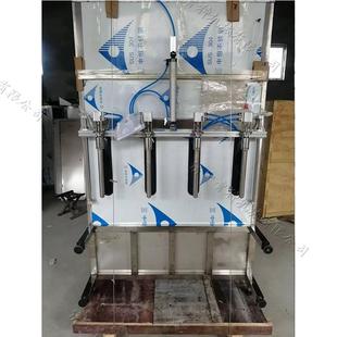 机 瓶机恒流计时双头灌装 洗手液洗洁精定量灌装 机半流体物料自动装