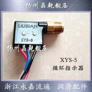 浙江流遍XYS-5分油器检知XYS-20循环指示器LXW10检测开关XYS-10