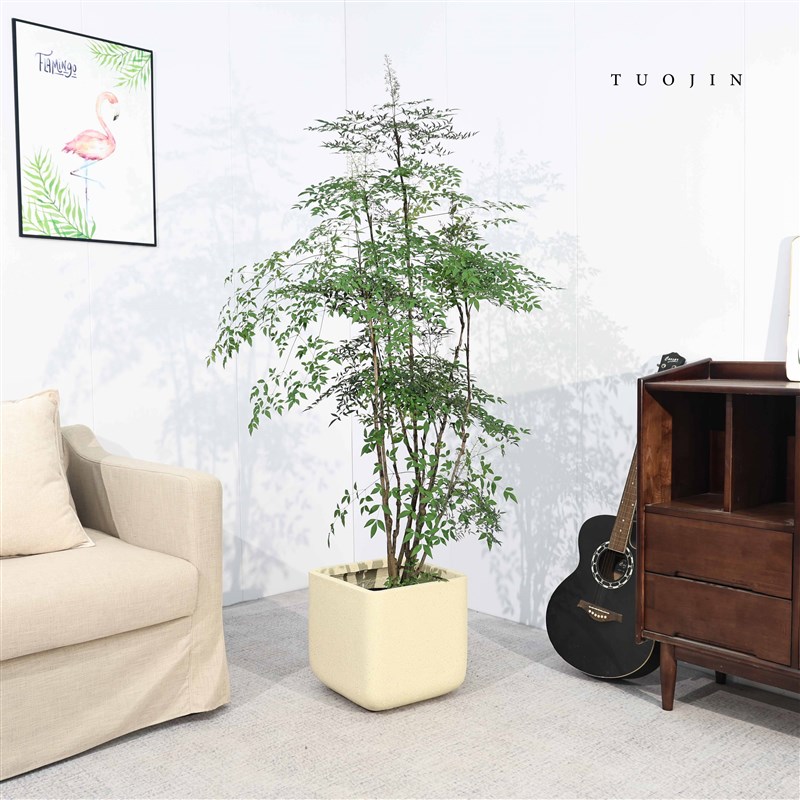 方形大口径镁泥花盆黄荆树绿植花盆落地客厅水泥花盆透气耐用高款