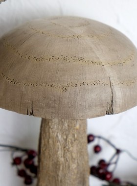 美式乡村创意可爱复古蘑菇软装工艺品橱窗森系摆设拍摄道具摆件