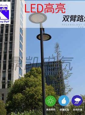厂家供应led双臂路灯小区公园中式庭院灯新农村30W6米8米单臂路灯