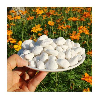 庭院专用鹅卵石工程园林造景河滩石铺路雨花石水池垫底石子