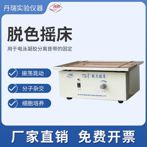 脱色摇床电泳凝胶分离普带固定专业常用恒温实验设备常州丹瑞仪器