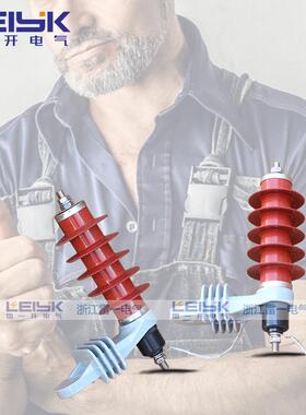 雷一HY5WS-17/50L带脱离器支架接地线氧化锌避雷器10KV