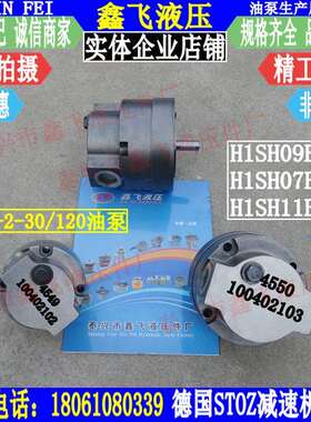 STOZ ZB4549 100402102油泵Flender H1SH07B H1SH09B配套油泵