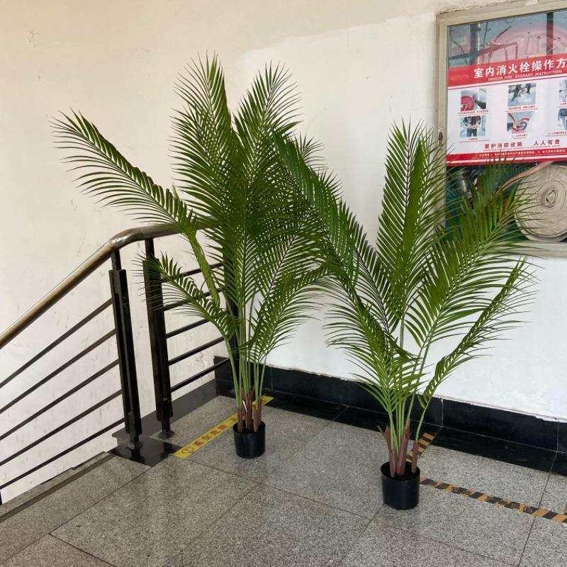 北欧绿植造景贵妃葵散尾葵天堂鸟旋人蕉假植物盆栽装饰