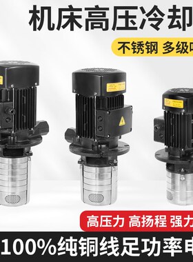 浸入式加工中心水泵CDL/CRK机床油泵不锈钢多级离心泵三相高压泵