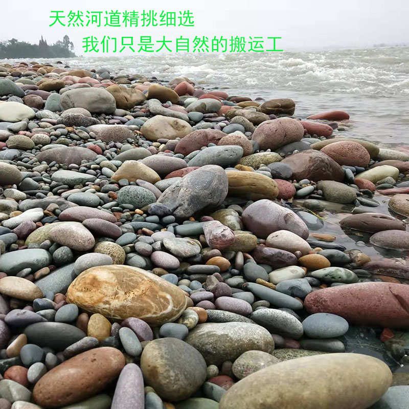 天然鹅卵石手工创意儿童画画石头手绘石绘画石彩绘石鱼缸乌龟晒台