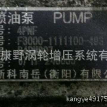 喷油泵F3000-  B4PM907A3和4PM125A 和1PG301-1111100 B4PN98T10A