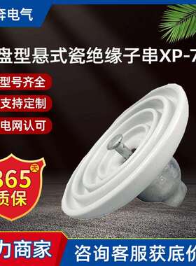盘型悬式瓷绝缘子串XP-4.5/7/40c70/100 U30 XWP U408电瓷6-110KV