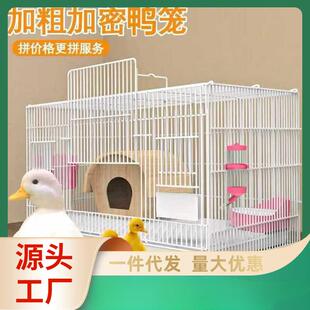 柯尔鸭笼子小鸭子鸭笼家用室内柯达防臭鸡笼鹌鹑笼