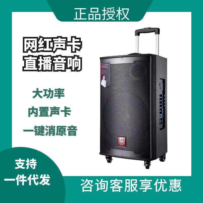 曼龙户外大功率音响家用唱歌声卡直播一体机便携式移动广场舞音箱