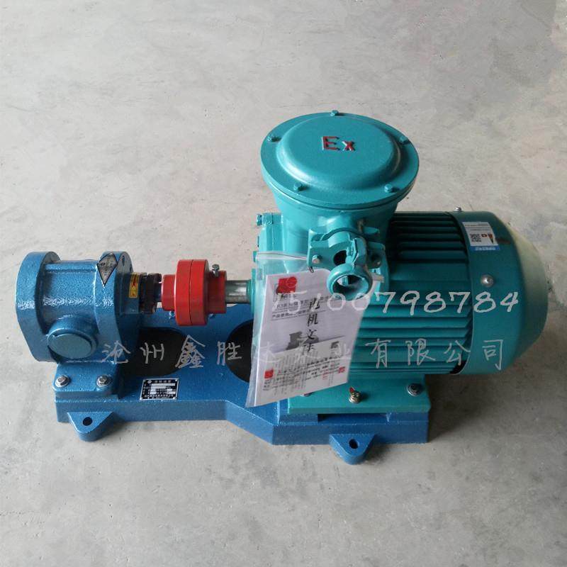 供应 小型高压齿轮泵 2cy-7.5m3/h铸铁卧式齿轮泵 2cy齿轮泵
