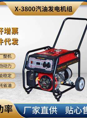 汽油发电机组-轩逸款系列X-3800工业发电机220V