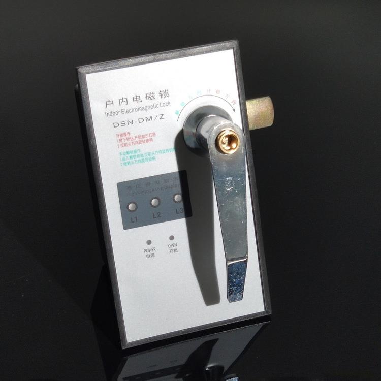 DSN-DMZ/DY高压户内电磁锁AC/DC220V/110V 高压柜配电柜电门锁