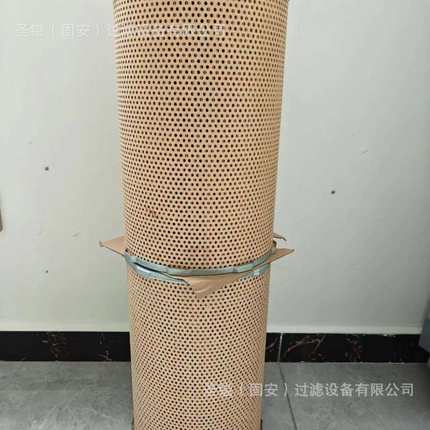 53C0616 3000501燃油滤芯FS19934 FS1959 22223804 17801-3380空