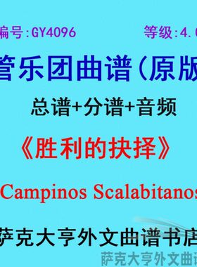(n6s4api谱soal40m+G级)n0管Scab9oY乐抉择胜利it团总Ca的 分谱.