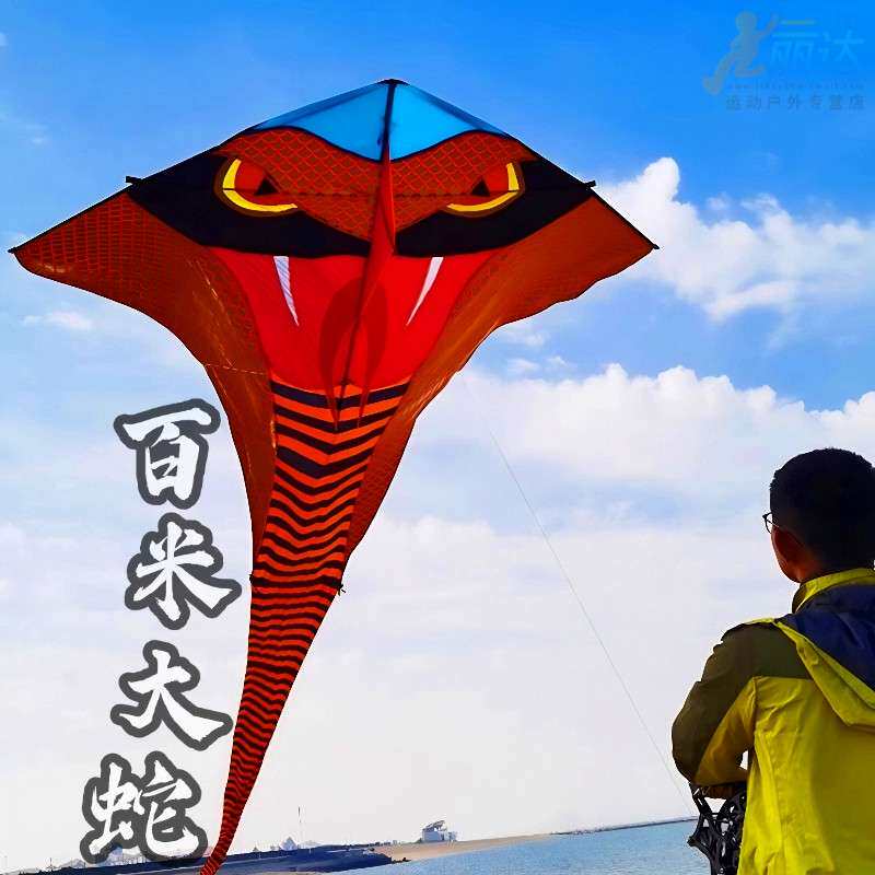 风筝大人专用巨型特大号潍坊风筝成人专用大型高档专业新款三角风