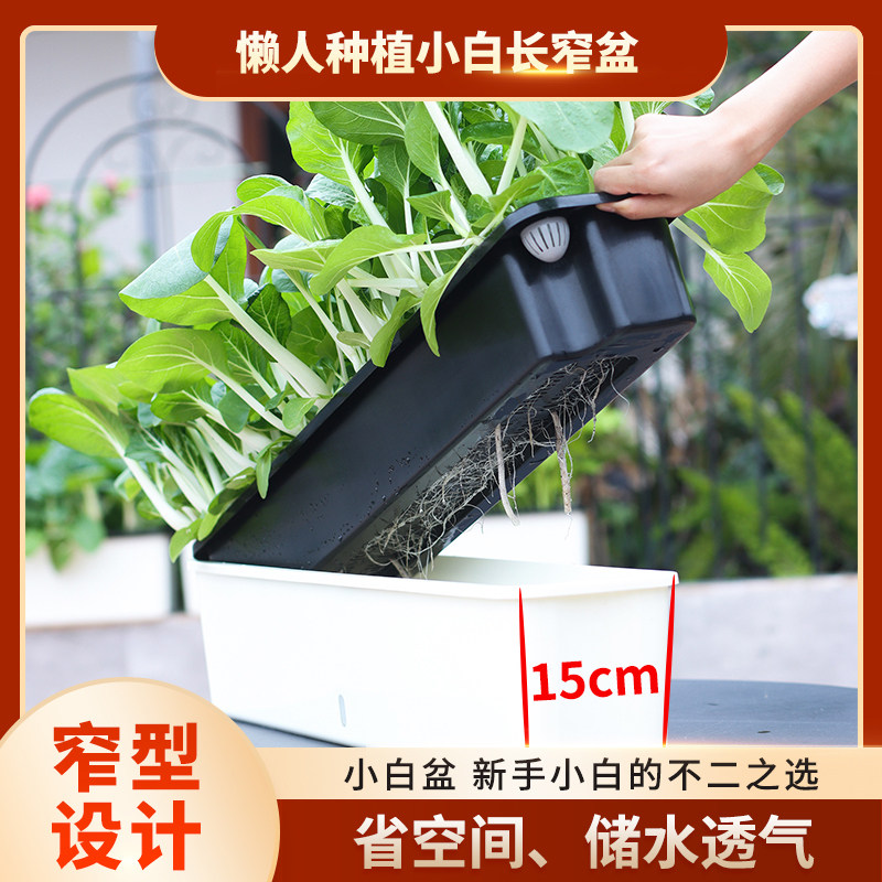 阳台种菜盆种菜专用箱懒人花盆家庭自吸水塑料花箱草莓种植箱楼顶