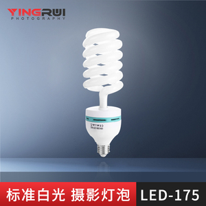 专业175w摄影灯泡三基色5500K白光摄影棚柔光箱灯具专用器材型大