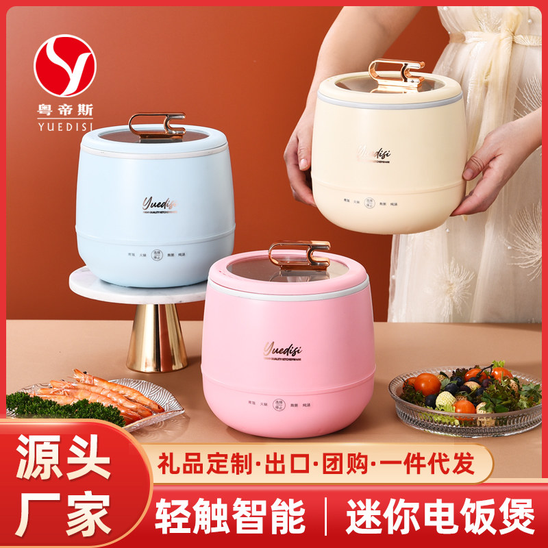 粤尔德迷你电子锅家用多功能单人火锅煮粥煲汤煮米饭不沾锅电饭锅