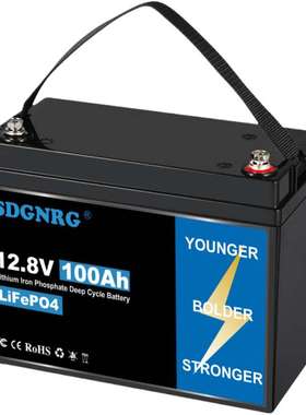 25.6V lead to lithium battery 100ah 200ah RV golf cart solar