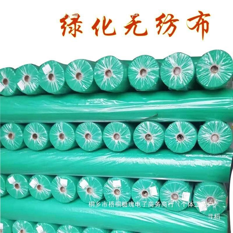 园林绿化无纺布绿色透气膜工地草C坪防尘盖土边坡护坡植草籽覆盖
