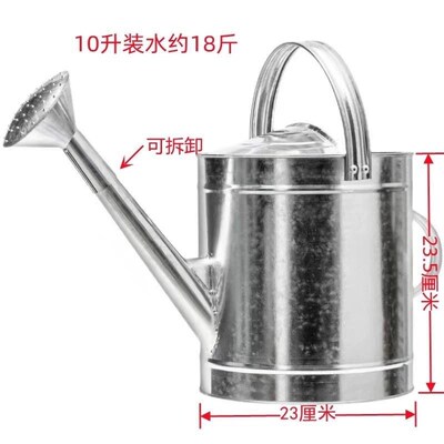 德国进口不锈钢洒水壶家用铁喷壶老式农用浇水壶浇花桶手提浇菜洒