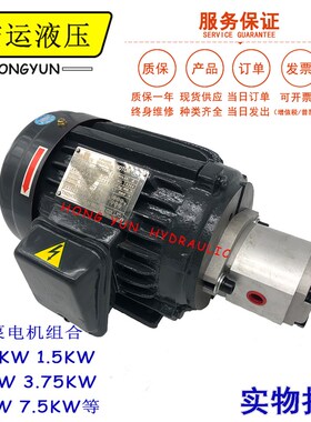 液压油泵电机组HGP-1A+1.5KW2.2KW总成内轴电机液压站配件系统