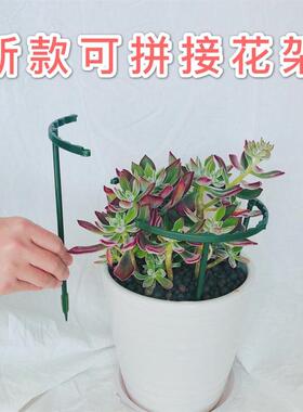 蟹爪兰花支架太阳花支架放倒扶支撑杆兰花护叶爬藤花支架