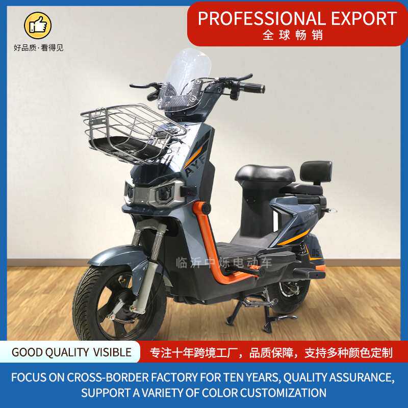 T10款厂家 跨境电动自行车两轮电瓶车成人上班代步车e-bike