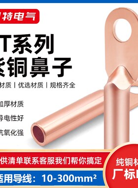 DT10/16/25/35/70-300平方铜鼻子紫铜闭口接线端子铜X线耳电缆接