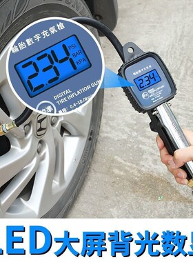 (一年免费换新)天佳p轮胎电子加气表枪数显高精度数字电子胎压表