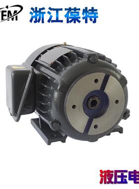 厂家HGP1A齿轮油泵电机三相卧式油压马达立式液压电动机