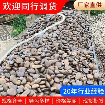 杂色鹅卵石 厂家工程铺路园林景观河滩石污水处理滤料石头