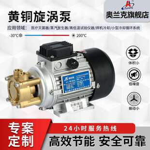 奥兰克供应220V蒸汽发生器单相高温水泵WD系列单相高温泵热水泵