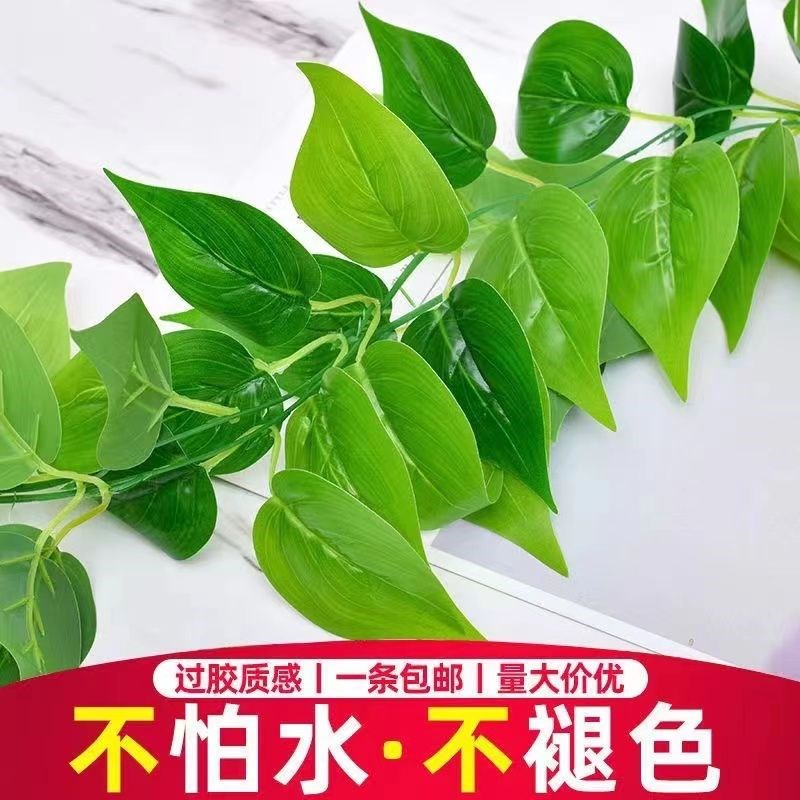 仿真藤条葡萄叶吊顶绿叶塑料假花绿萝叶仿真花装饰水管道缠绕藤蔓