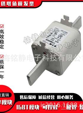 熔断器170M5808 170M5809 170M5810 170M5811 170M5812 170M5813