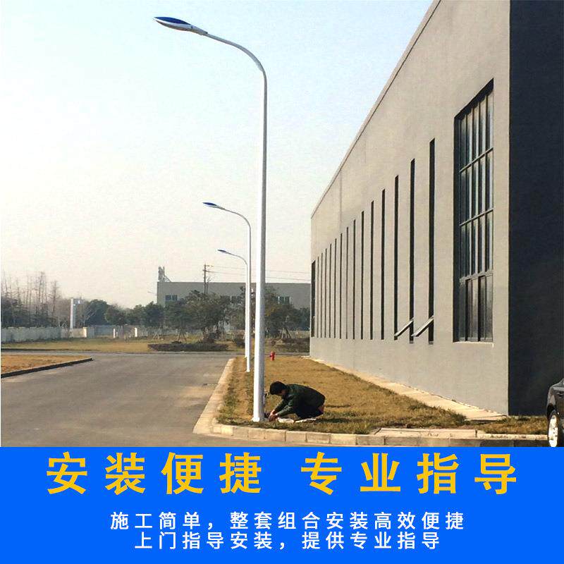 LED市电路灯6米户外防水市政道路城市照明灯新农村自弯臂路灯