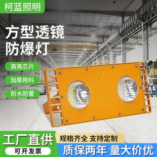 LED防爆隧道灯 加油站车间仓库工厂探照防爆灯防水船用低压投光灯