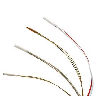 050 4热电阻 A086 060 RTDCAP P098 100A