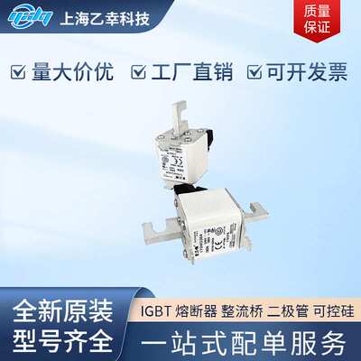 巴斯曼熔断器  170M3394 170M3395 170M3396 170M3397 170M3408