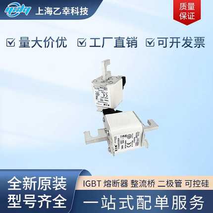 巴斯曼熔断器  170M3394 170M3395 170M3396 170M3397 170M3408