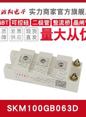 SKM50GB 75 100 145 150 195 200 300 400 600GB063/066DIGBT模块